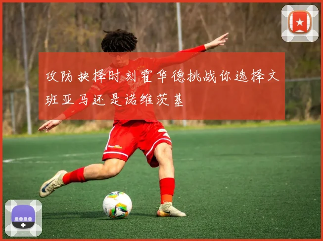 攻防抉择时刻霍华德挑战你选择文班亚马还是诺维茨基