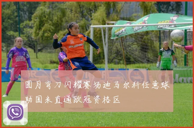 圆月弯刀闪耀赛场迪马尔科任意球助国米直通欧冠资格区
