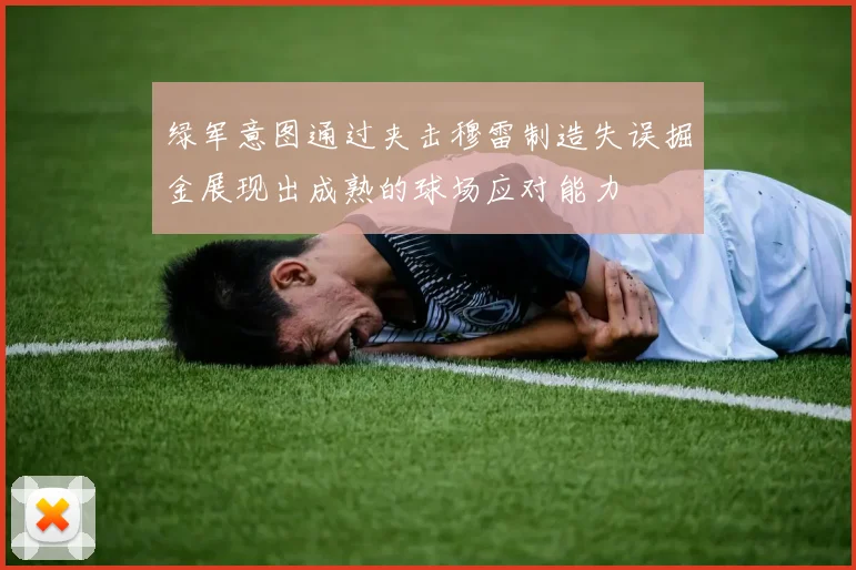 绿军意图通过夹击穆雷制造失误掘金展现出成熟的球场应对能力
